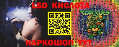 2c-b Новозыбков
