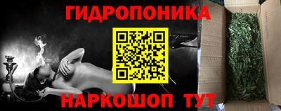 2c-b Новозыбков
