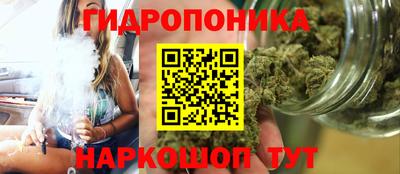 эйфоретик Новодвинск