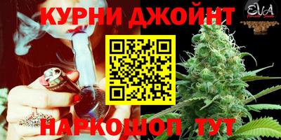 2c-b Новозыбков