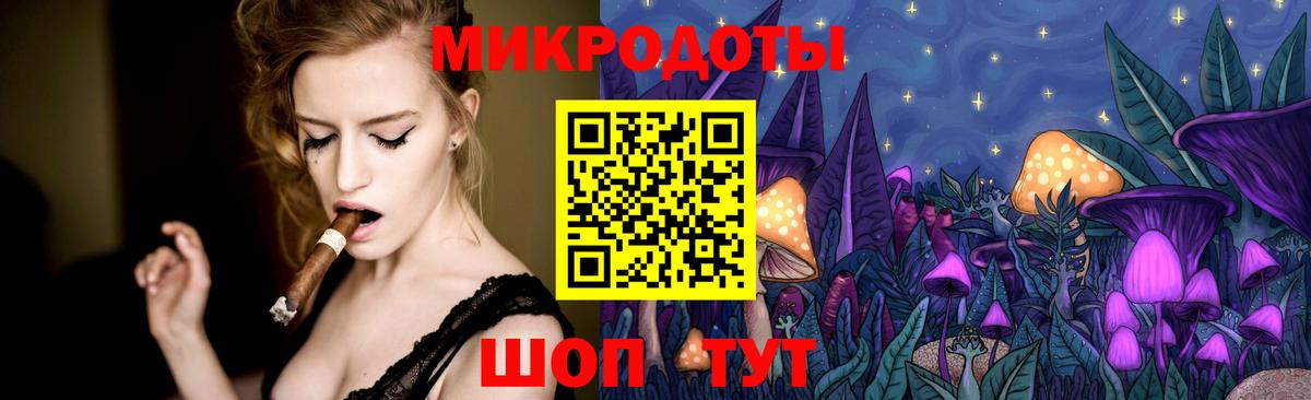 наркошоп  Вход с VPN  Псилоцибиновые грибы MAGIC MUSHROOMS  Алатырь  Галлюциногенные грибы Psilocybe 